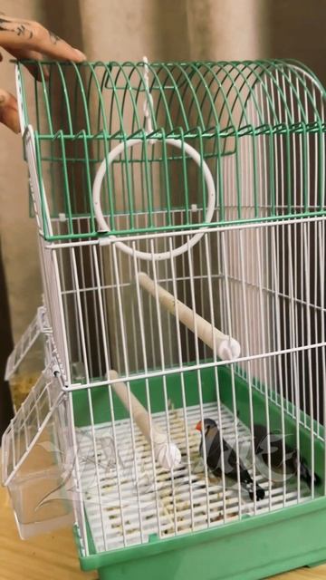 Сокровища императора 2 Финал 78