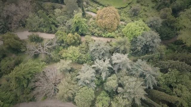 8dd9c78cc3f66552cd65de5614f3b677