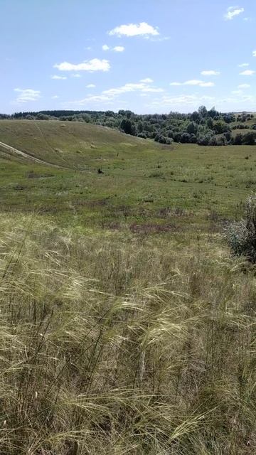 #эндуро Sycmcc 250