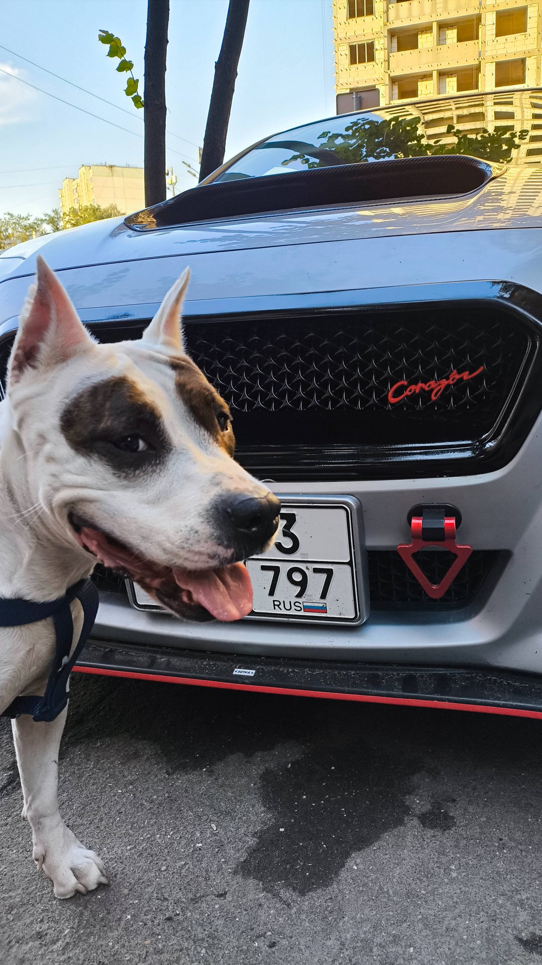 Решетка радиатора Corazon Subaru Levorg VM4/VM 14/6 -17/7 год