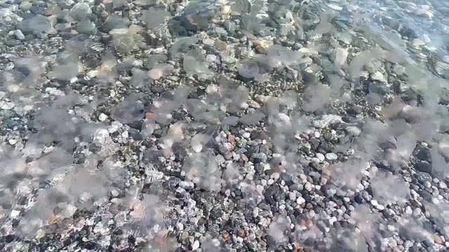 A1f9cd5bcd1b87aeea00da11904768cd