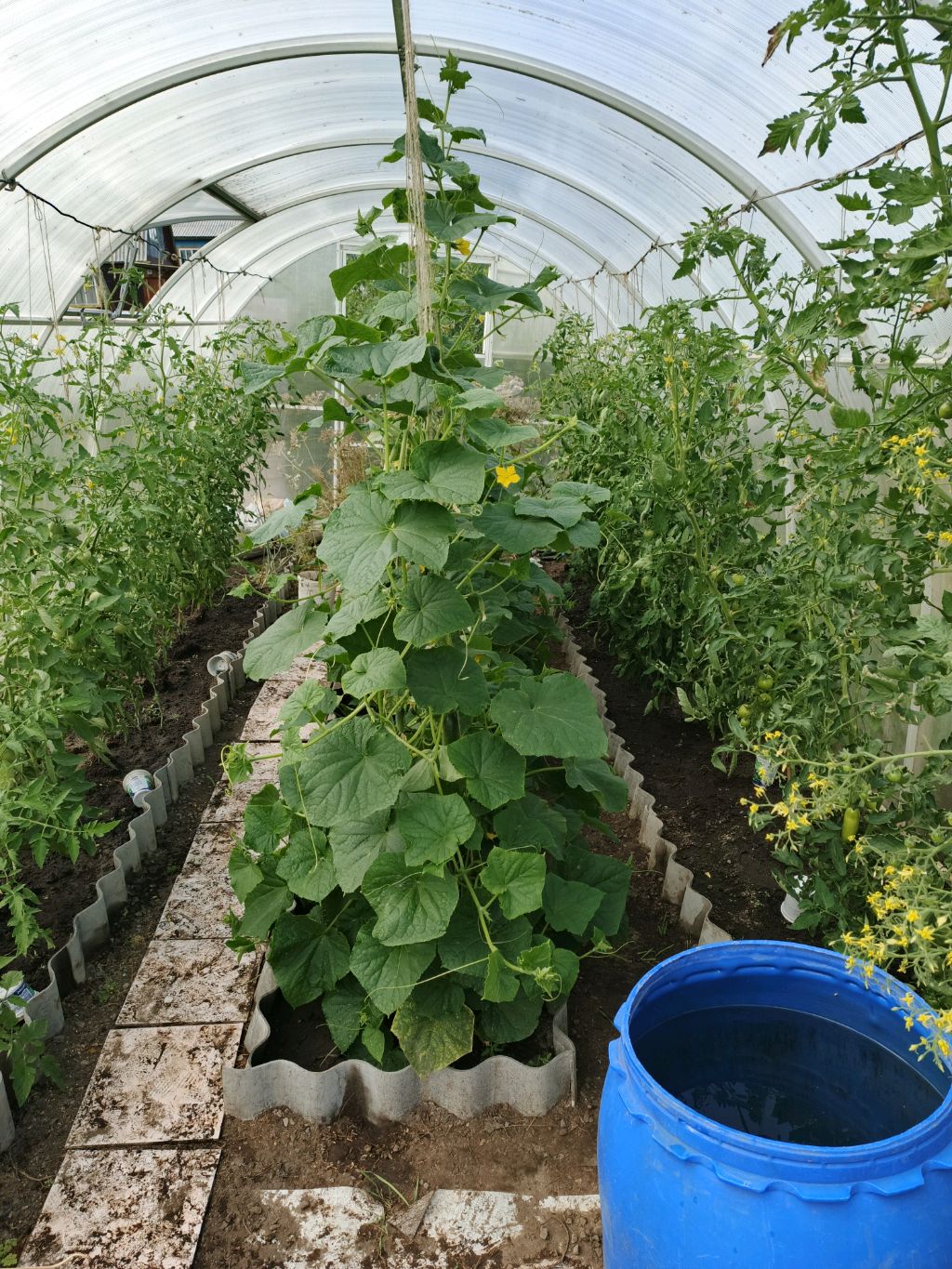 урок труда на даче# ремонт  табуретки# дети