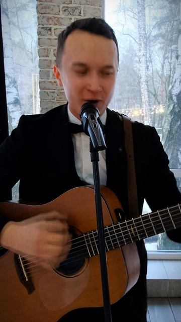 Братья Грим - Кустурица #ведущий #гитара #баян #ведущийнасвадьбу #ведущиймосква #народныепесни #баян