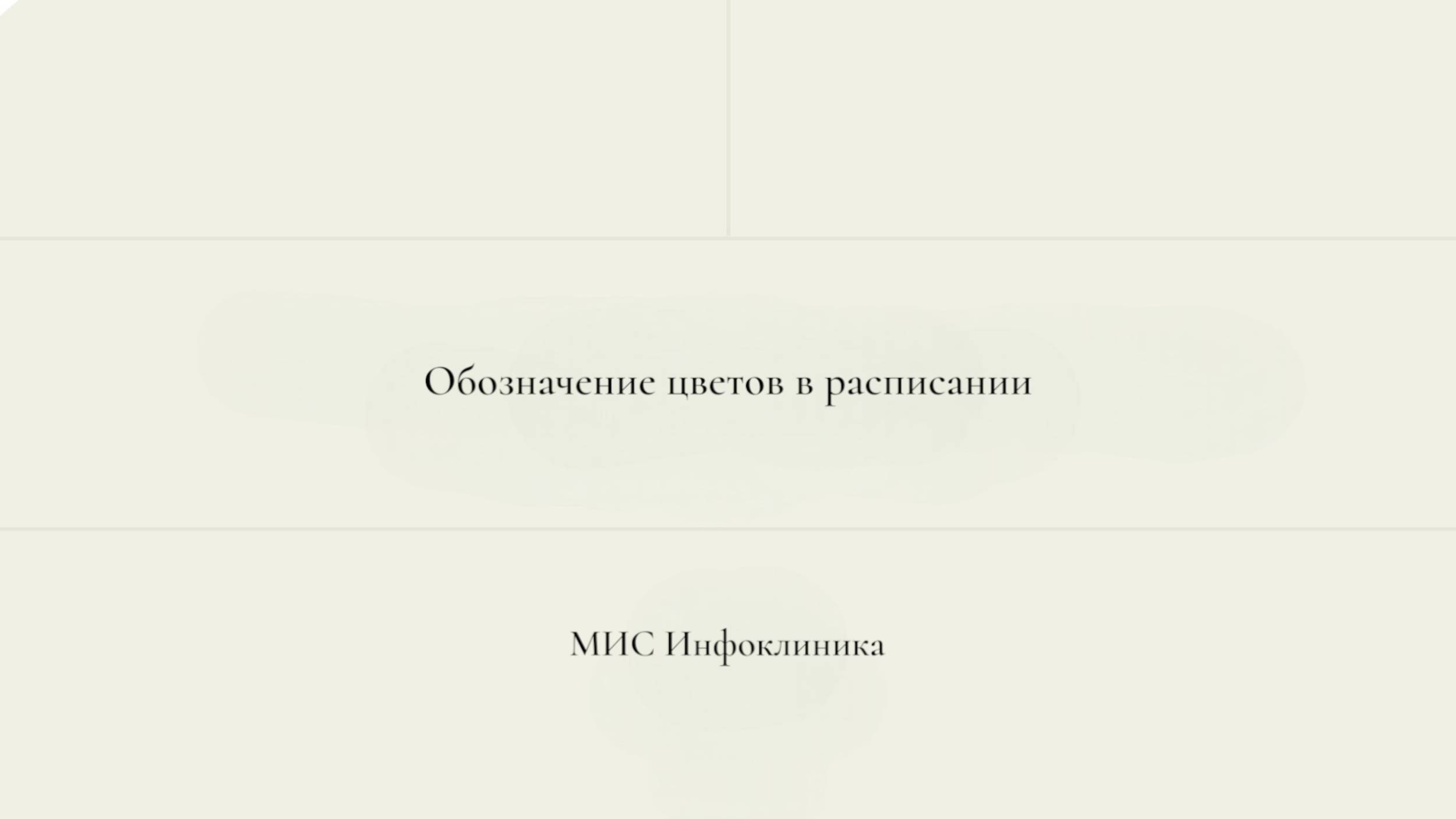 Статусы пациентов (обозначение цветов в расписании)