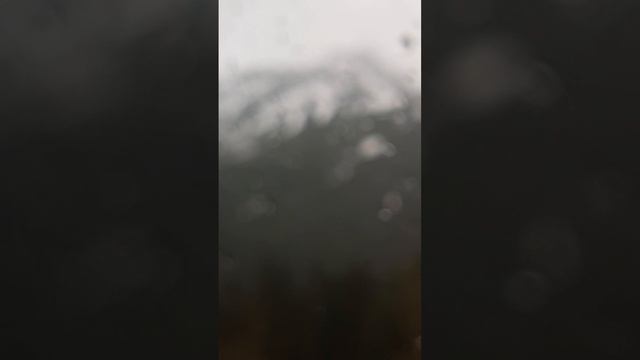 Как я была в отъезде