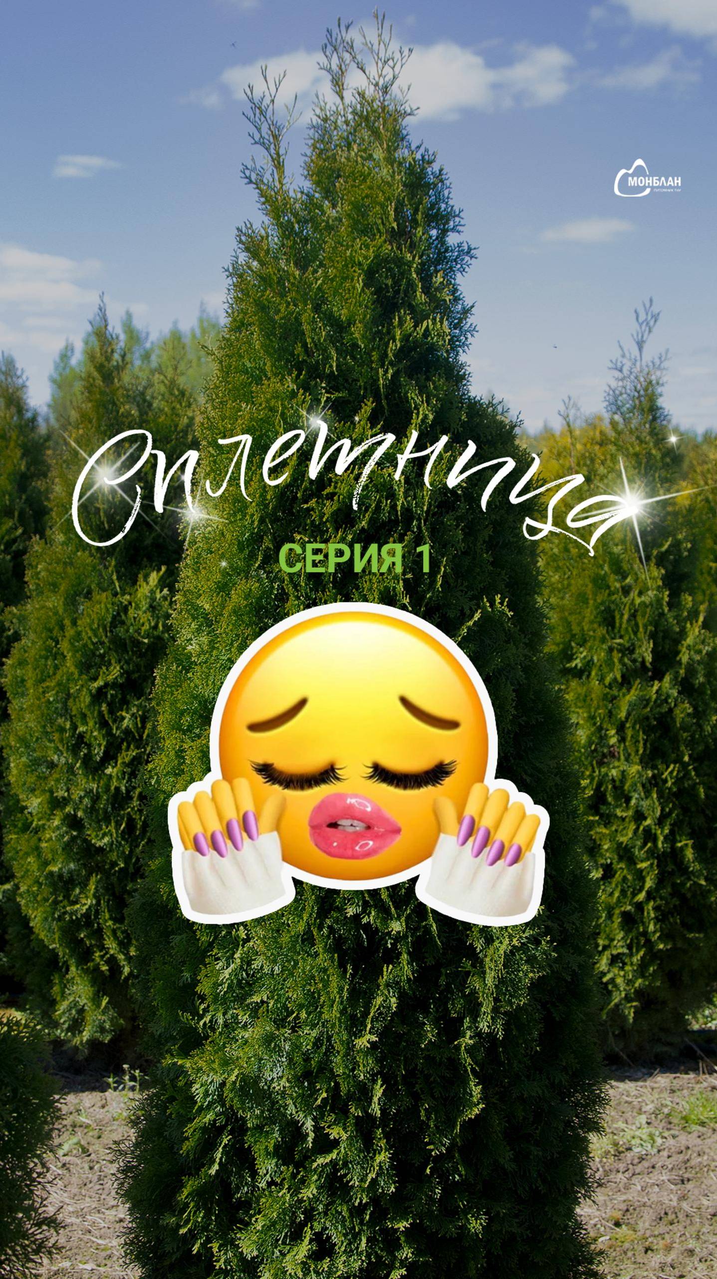 Как вам первая серия «Садовых сплетниц»?