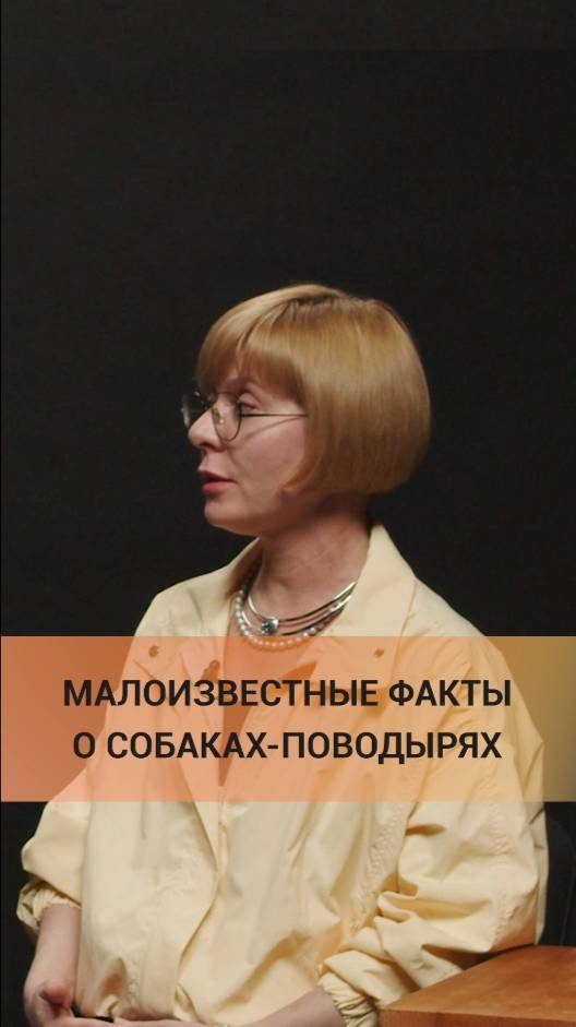 МАЛОИЗВЕСТНЫЕ ФАКТЫ О СОБАКАХ ПОВОДЫРЯХ
Комментирует врач-педиатр, невролог Елена Белоногова