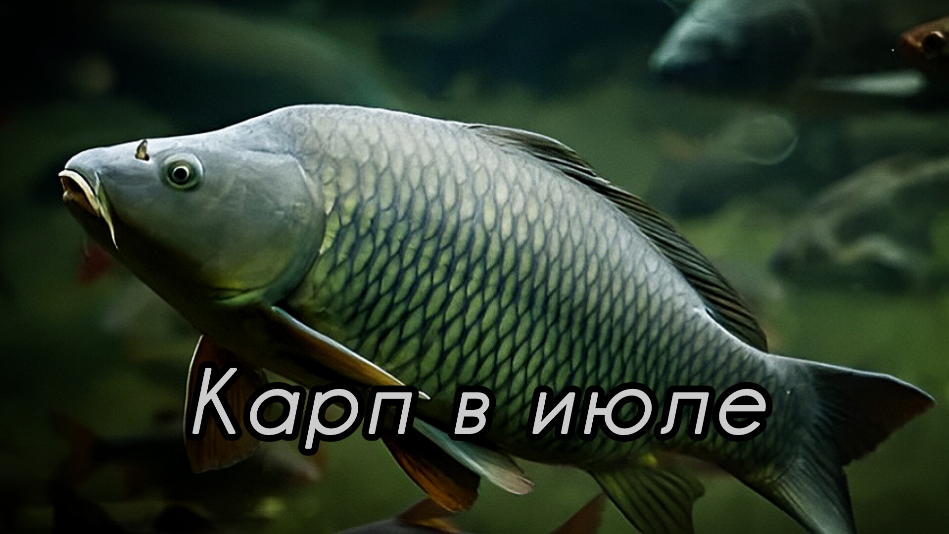 55e46e38a9c9c2d4bd11cc905e8ff57f