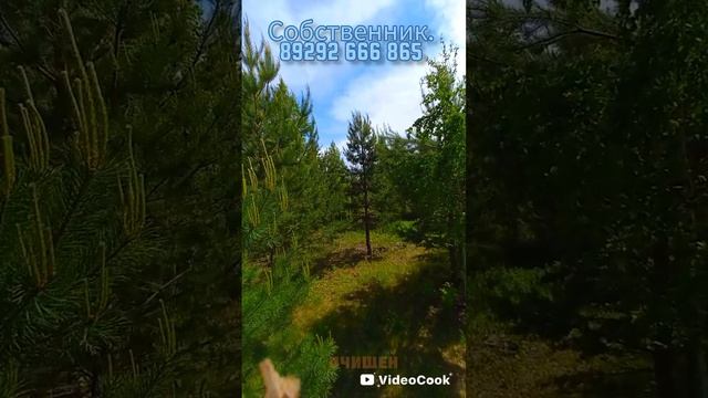 участки в Тюмени продаю