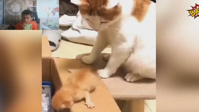 утренний стрим