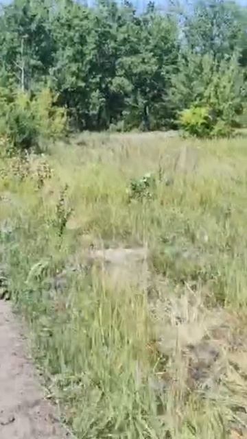 😱😱😱Враг начал минировать хорошо замаскироваными минами! передайте всем кто в зоне СВО!