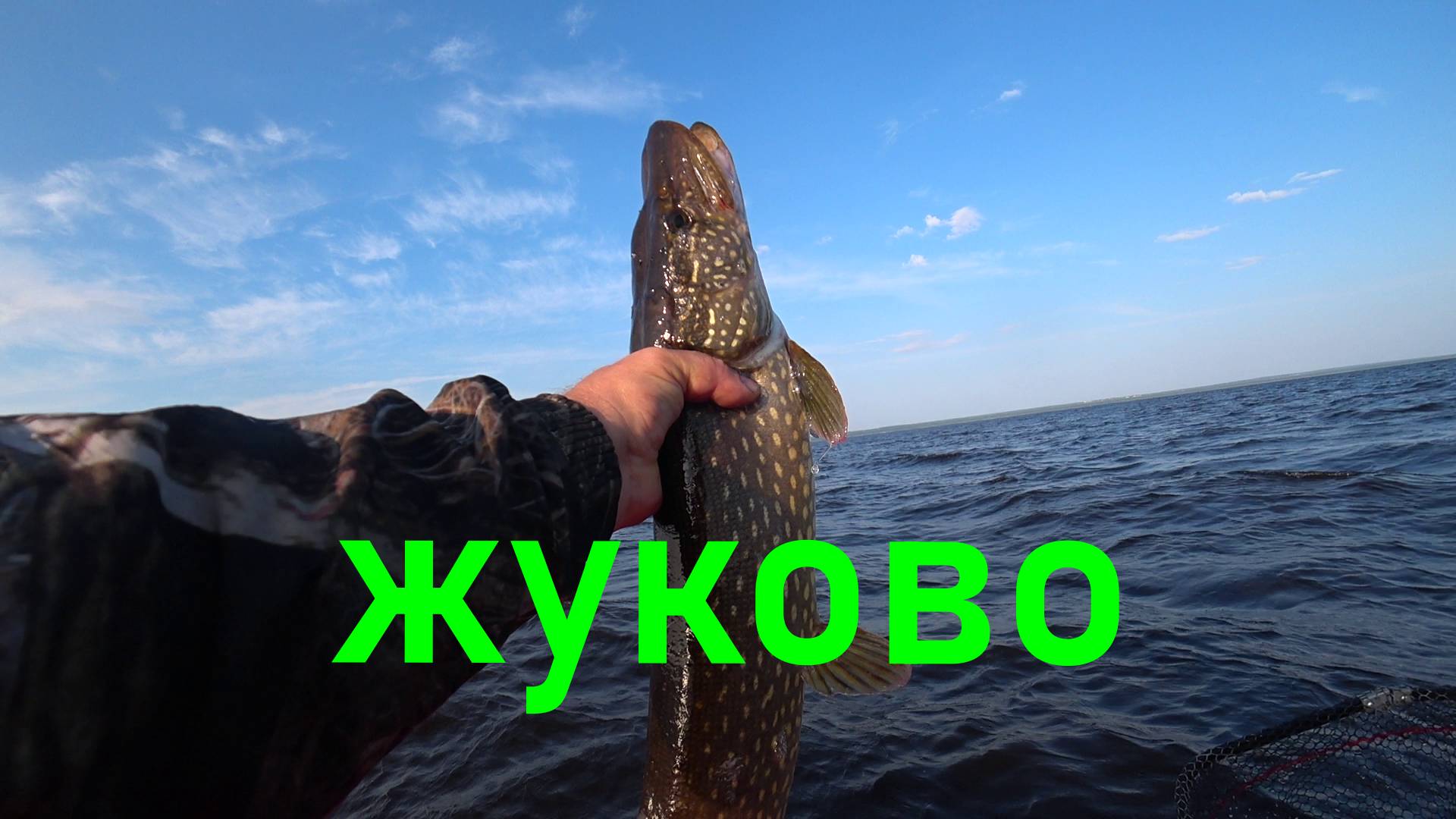 0f1086f45fbd68c9acaf2fc0ac3d3d64