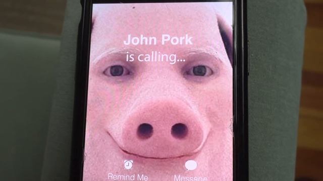 Dogs Find John Pork In Creepy Barn!