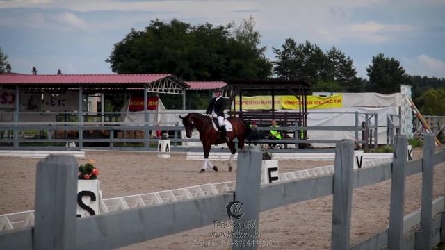 Программист на коне. Ольга Киреева и Леди Пипино