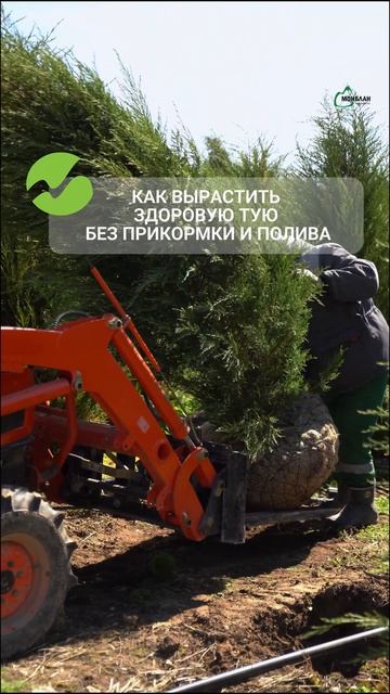 Обожаем такие советы