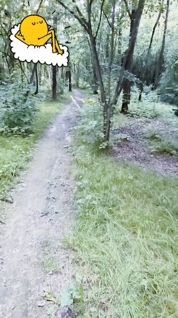 Прогулка по лесу