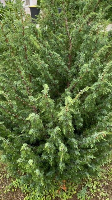 Ac348a2683ce284851cba864fed25298