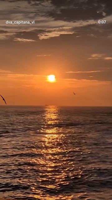 Вечерние морские прогулки во Владивостоке на закате +7(914)737-40-96