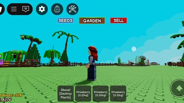 Жиза так жиза