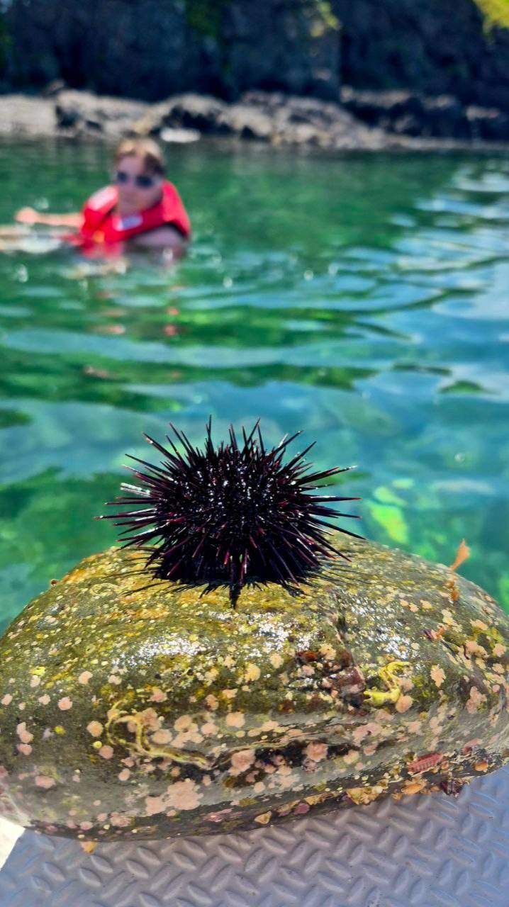 Морские прогулки во Влаливостоке +79147374096