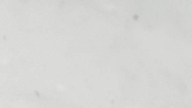 3f5a9a472f4b47b8a46d5185a157d74d