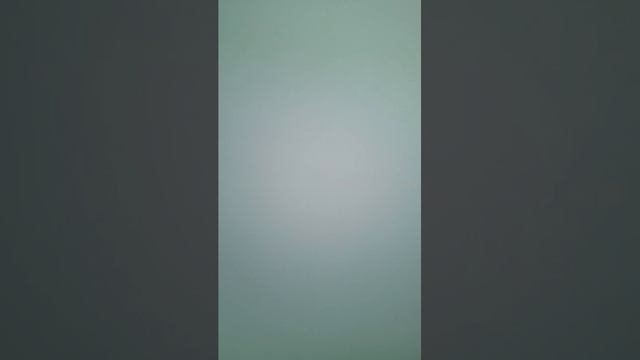 Индия в России