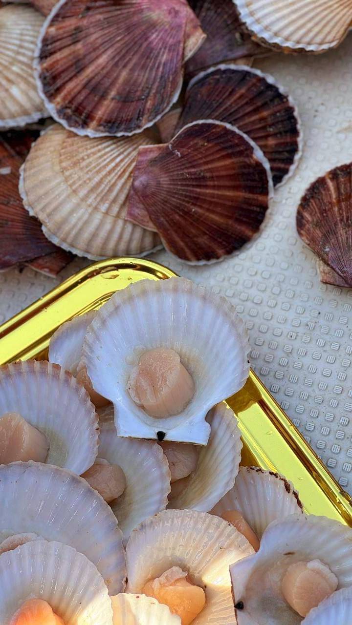 Морские прогулки с дегустацией свежих морепродуктов во Владивостоке +79147374096