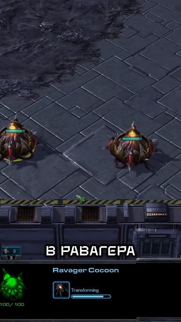 Тяжелый универсал - Таракан за 1 минуту