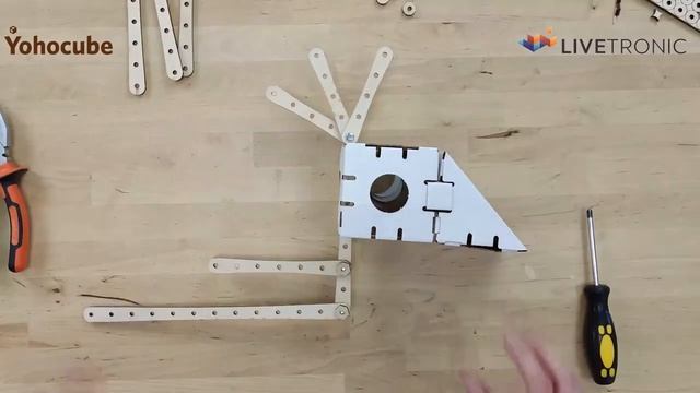 Птица Говорун - STEM конструктор Йохокуб Часть 2