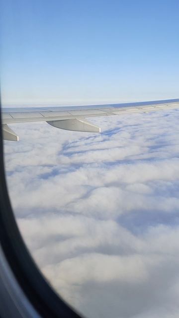 Полет на самолёте