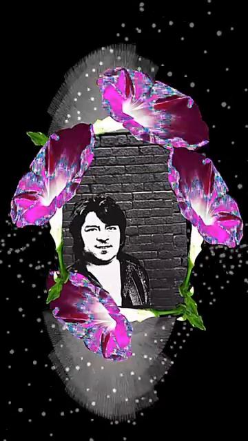 کاشکی می شد ترک، _برجستهسازی