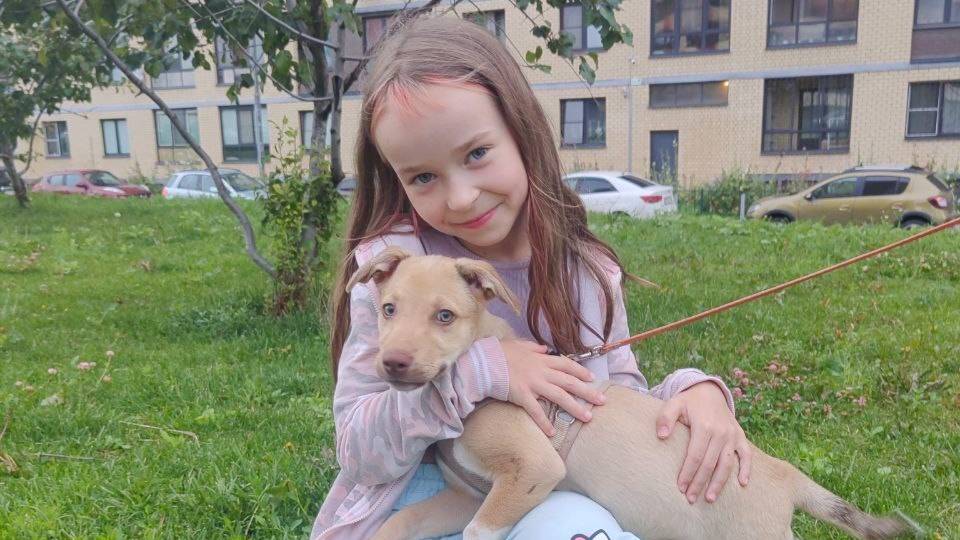 Мой новый питомец. Оливия Старикова