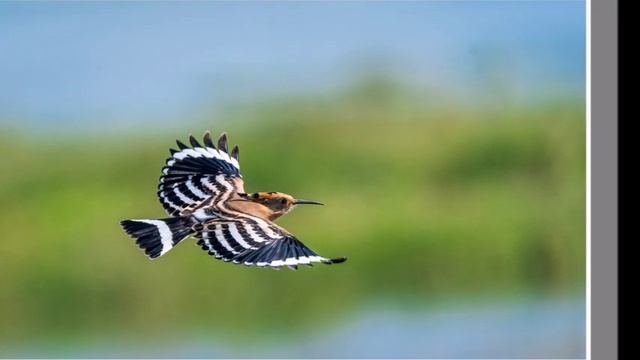 76e82a92e5bfaf92a439599a1593f23b