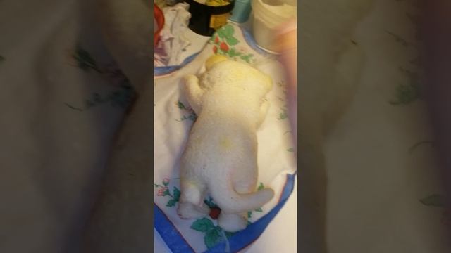 VID_20250730_235119.mp4