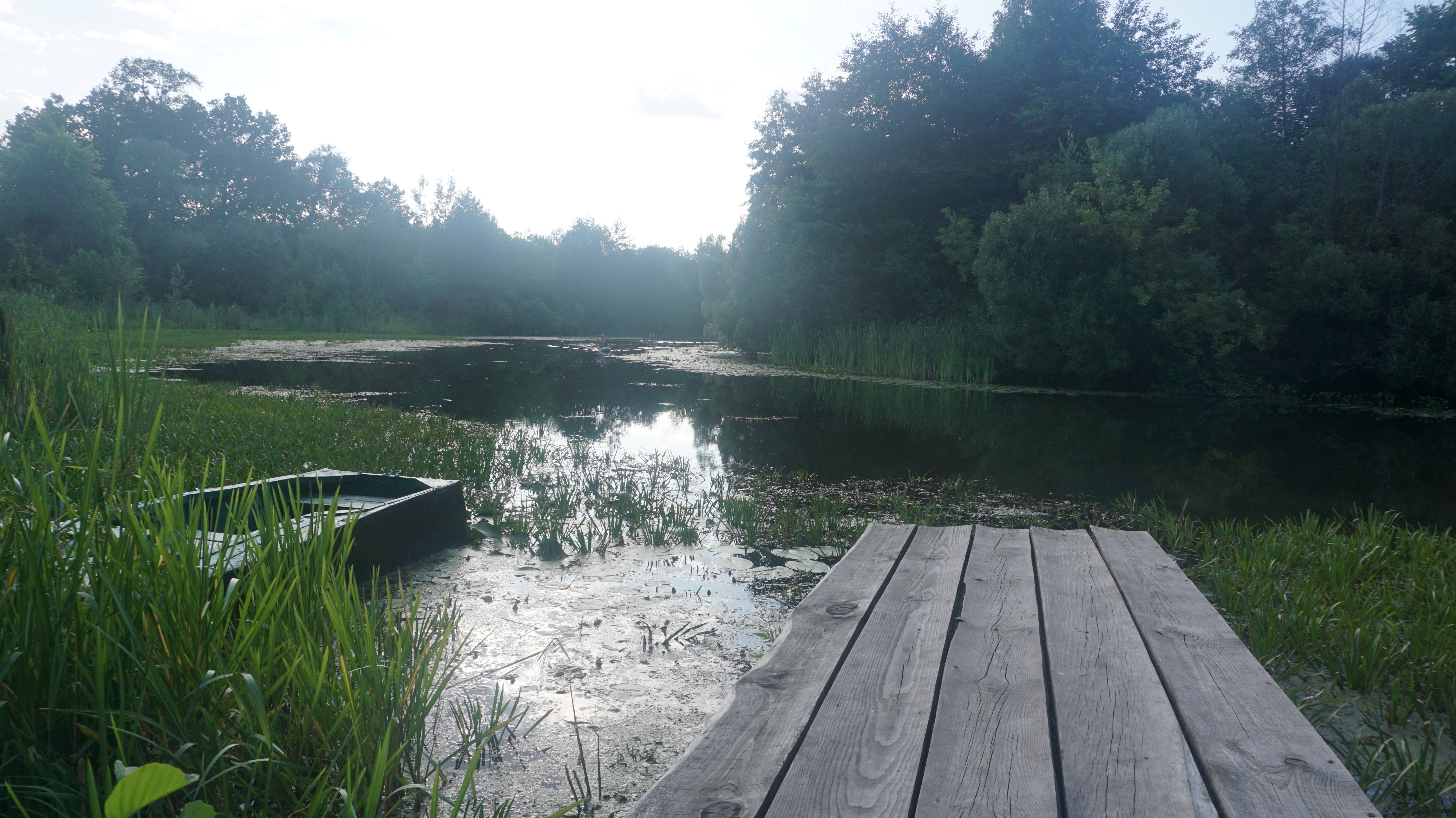 B684cbfdc12245c9d6c6e5a57d325ae2