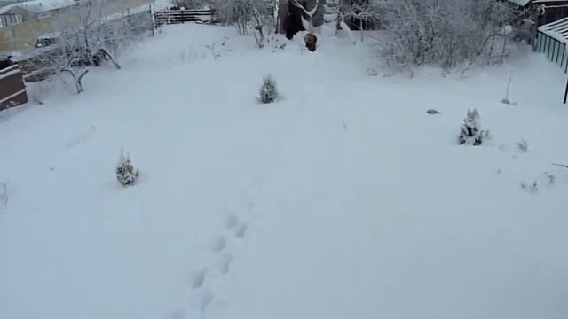 Снег на Агрохимике, 14 января 2017 г.