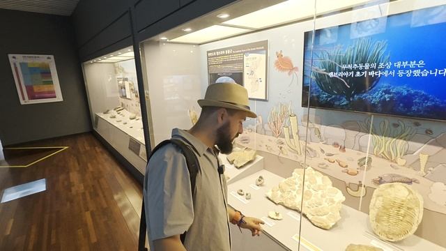 Жара трип. День девятнадцатый. Музей геологии Кореи