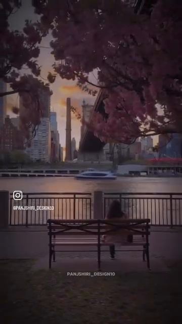 The One And Only Ahmad Zaher _افغانستان