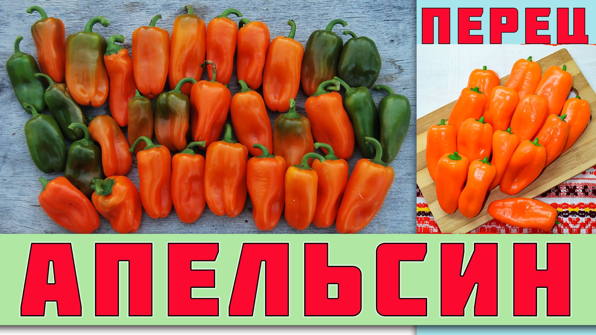 ПЕРЕЦ СЛАДКИЙ 