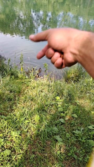 #Покорми_зверушку