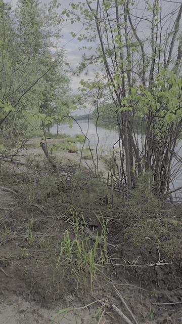 Тромеган, высокая вода. 21.06.25