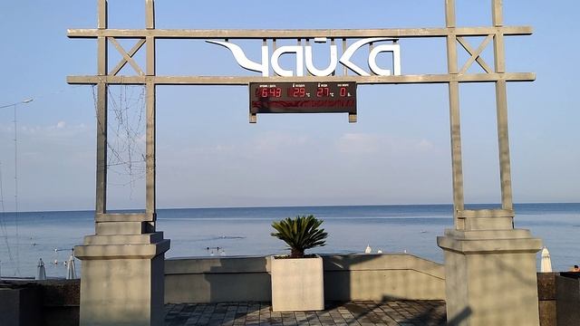Адлер  пляж чайка погода утром 30 июля