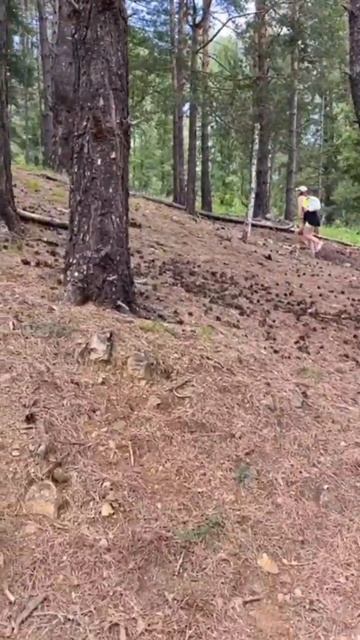 Следуй за мной