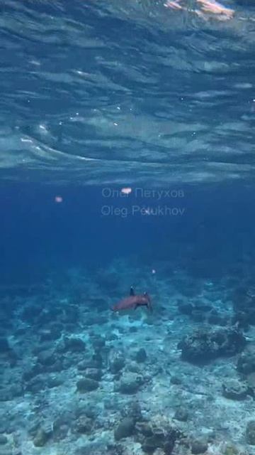 Мальдивы. Maldives. 马尔代夫。