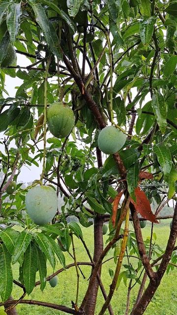 Deb240fee6d42e7e75cc16870ae7bd3e