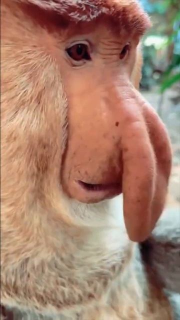 вот это да | Подпишись что ты как не родной❤️