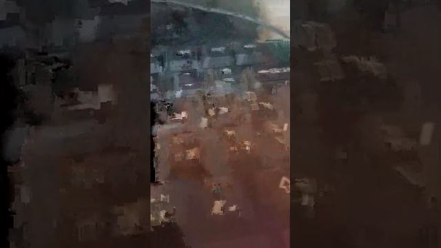 играю в 99 ночей в лесу