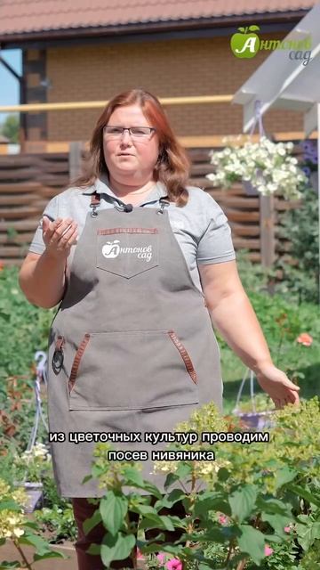 Антонов Сад