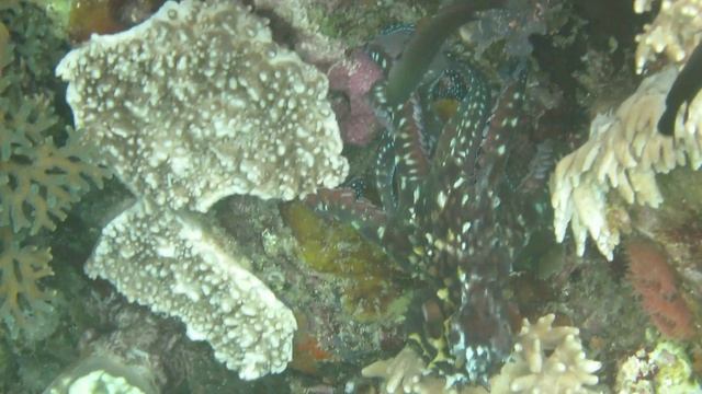 Fam Wall East Side 2025