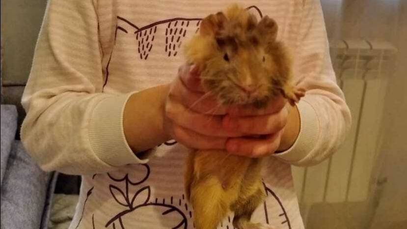 Я и моя Бонечка. Ксения Ходосовская